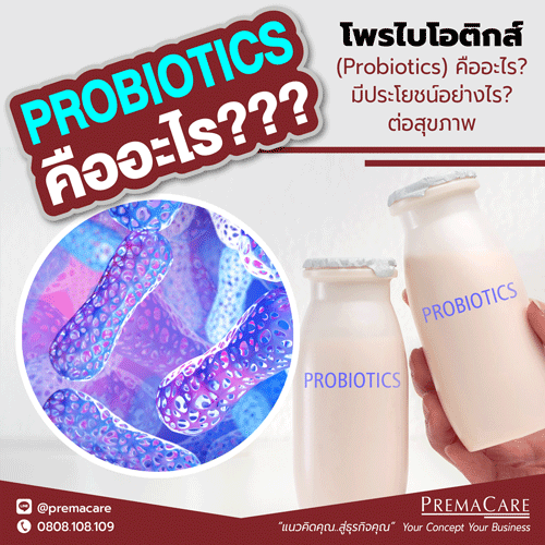 โพรไบโอติกส์, Probiotics