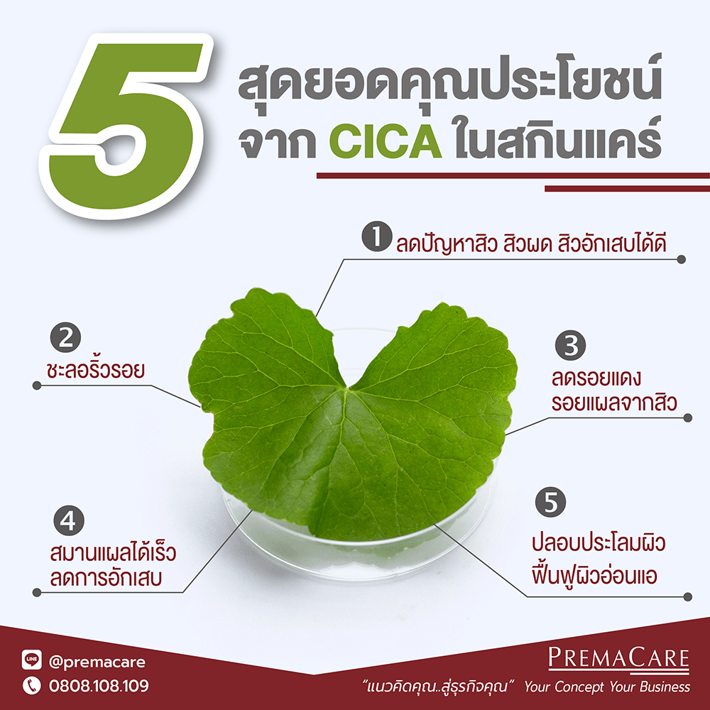 สร้างแบรนด์สกินแคร์, สกินแคร์, CICA ในสกินแคร์, CICA, ลดปัญหาสิว, ชะลอริ้วรอย, ลดรอยแดง, สมานแผลได้เร็ว, ปลอบประโลมสิว