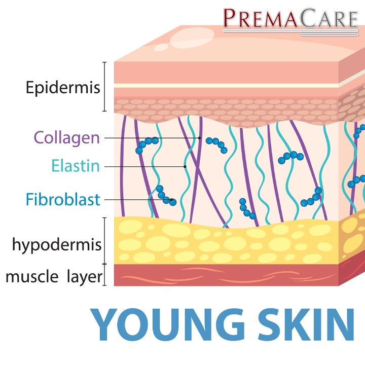 an image of a woman applying a Placenta-based cream skincare หญิงสาวกำลังทาครีมรกเพื่อผิวอ่อนเยาว์และกระจ่างใส