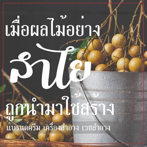 สร้างแบรนด์เซรั่มลำไยกันด้วยสารสกัดลำไยกันเถอะ