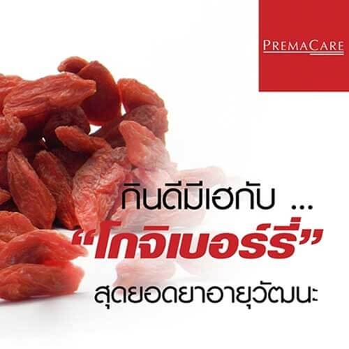 กินดีมีเฮกับ โกจิเบอร์รี่ สุดยอดยาอายุวัฒนะ