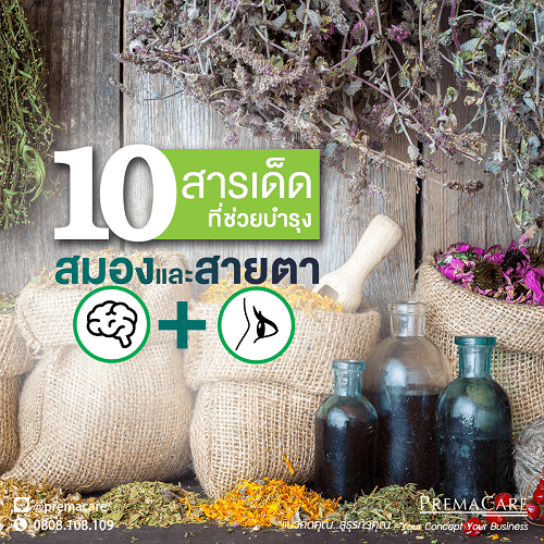 10 สารเด็ดที่ช่วยบำรุงสมองและสายตา