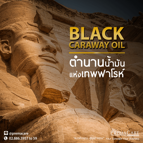 Black Carawa Oil-บำรุง-ผิว-สร้างแบรนด์-ทำแบรนด์-เครื่องสำอาง