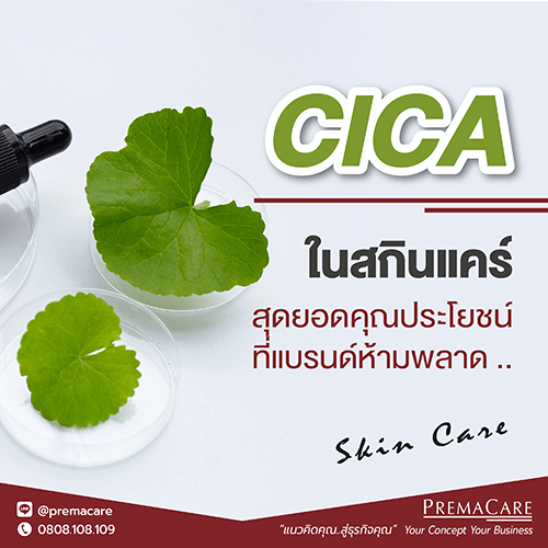 สร้างแบรนด์สกินแคร์, สกินแคร์, CICA ในสกินแคร์, CICA, ลดปัญหาสิว, ชะลอริ้วรอย, ลดรอยแดง, สมานแผลได้เร็ว, ปลอบประโลมสิว