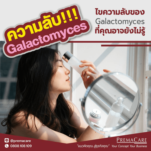 Galactomyces-โรงงาน-บริษัท-แลป-รับ-ผลิต-สร้าง-ทำ-แบรนด์-OEM-ODM