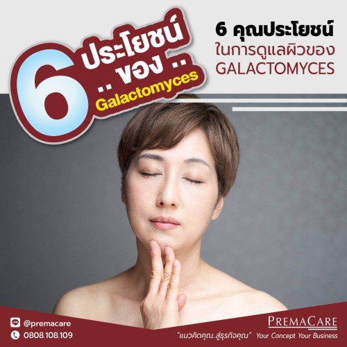 กาแลคโตมัยเซส, Galactomyces