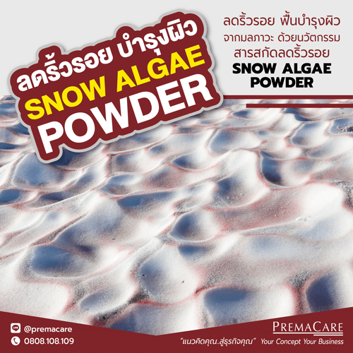 สารสกัดลดริ้วรอย, Snow algae