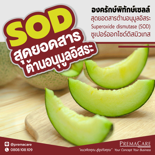 สุดยอดสารต้านอนุมูลอิสระ, Superoxide dismutase, SOD