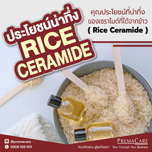 Ceramide, เซราไมด์, rice ceramide