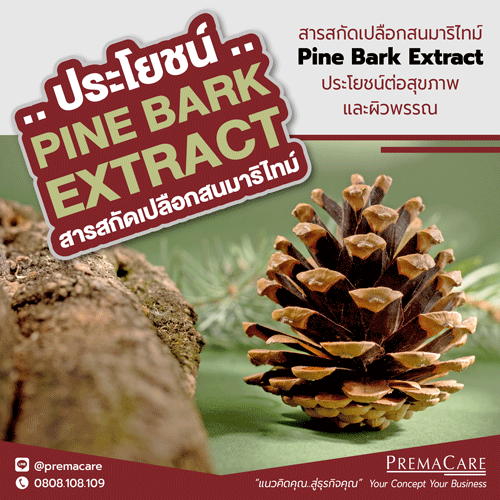 Pycnogenol, Pine Bark Extract, สารสกัดเปลือกสน