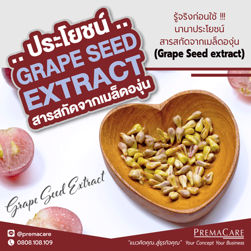 สารสกัดจากเมล็ดองุ่น, Grape Seed extract