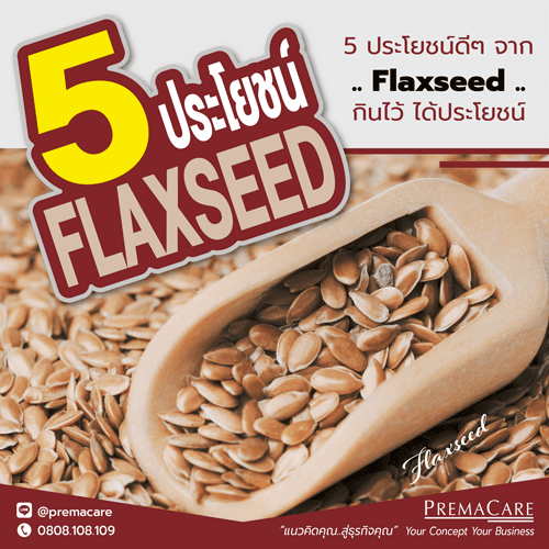 เมล็ดแฟลกซ์สรรพคุณและประโยชน์ดีๆ ต่อสุขภาพจาก Flaxseed