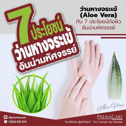 ว่านหางจระเข้, Aloe vera