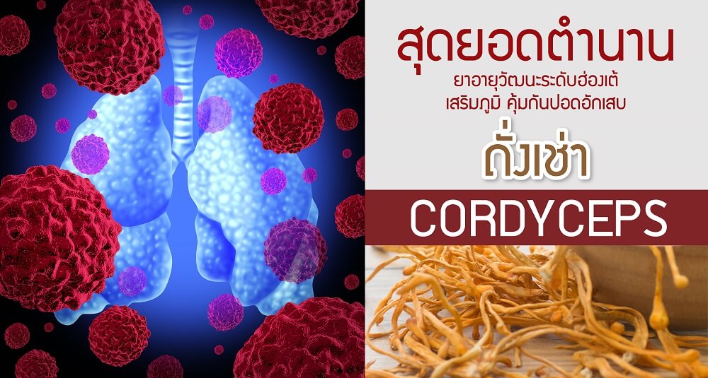 โรงงาน, บริษัท, แลป, รับ, ผลิต, อาหารเสริม, ถั่งเช่า, cordyceps, oem, odm, supplement, health, เพื่อสุขภาพ, เพศชาย, เพศหญิง