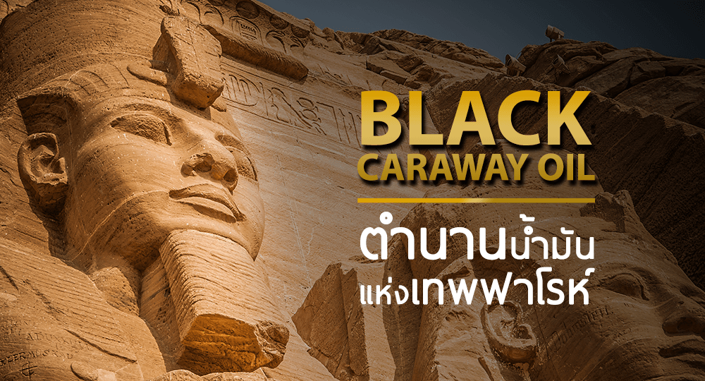 Black Carawa Oil-บำรุง-ผิว-สร้างแบรนด์-ทำแบรนด์-เครื่องสำอาง