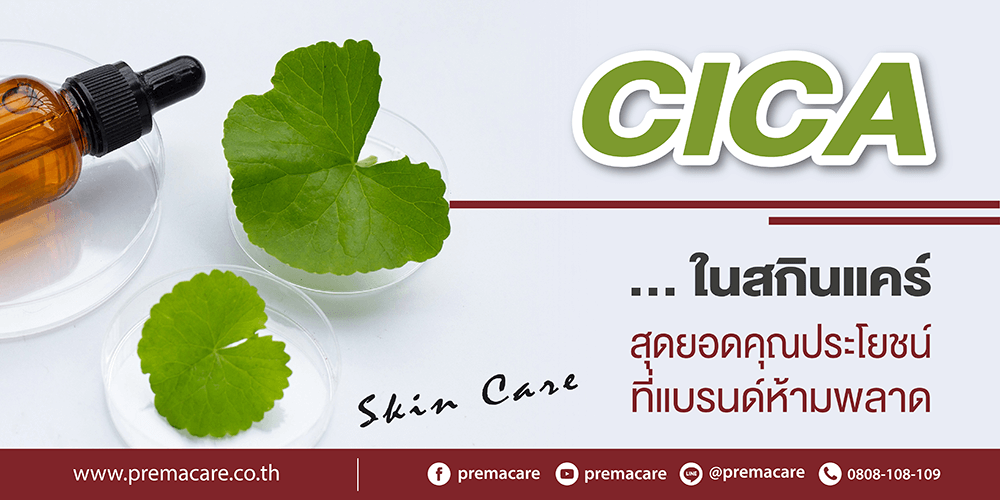 สร้างแบรนด์สกินแคร์, สกินแคร์, CICA ในสกินแคร์, CICA, ลดปัญหาสิว, ชะลอริ้วรอย, ลดรอยแดง, สมานแผลได้เร็ว, ปลอบประโลมสิว