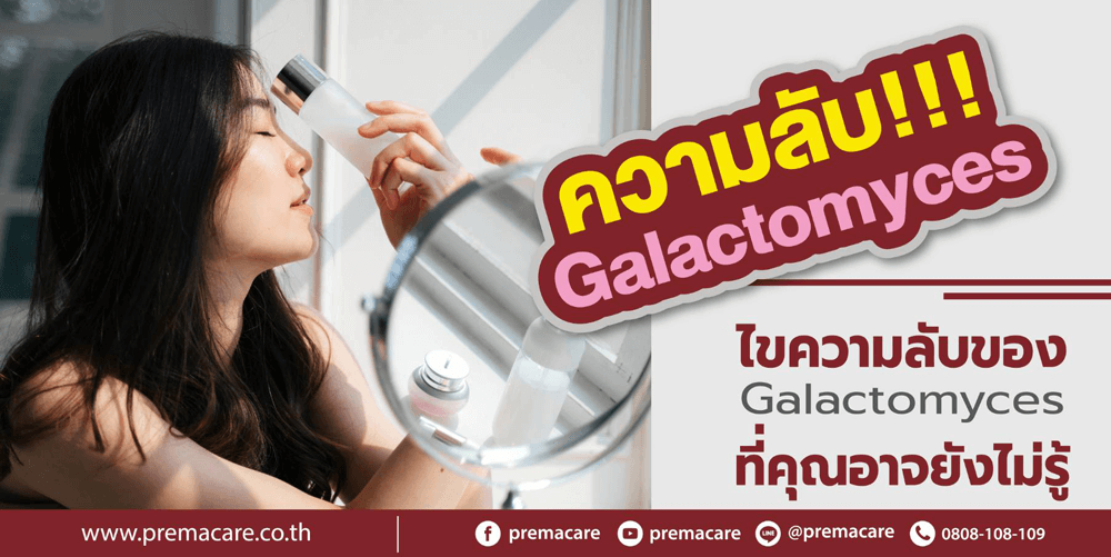 Galactomyces-โรงงาน-บริษัท-แลป-รับ-ผลิต-สร้าง-ทำ-แบรนด์-OEM-ODM