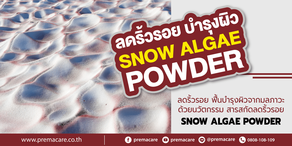 สารสกัดลดริ้วรอย, Snow algae