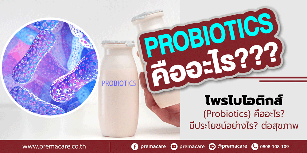 โพรไบโอติกส์, Probiotics