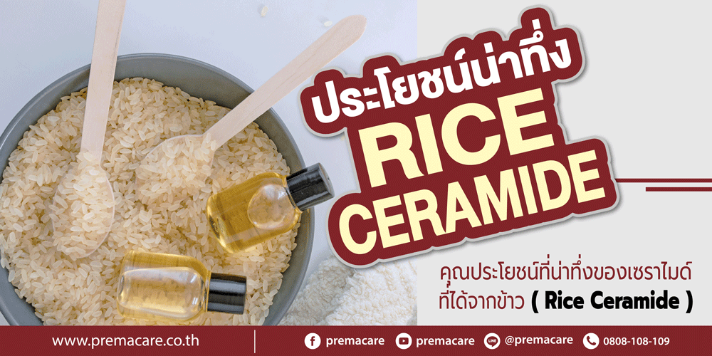 Ceramide, เซราไมด์, rice ceramide