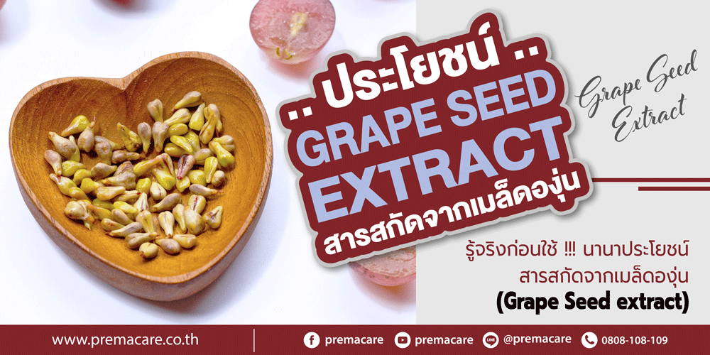 สารสกัดจากเมล็ดองุ่น, Grape Seed extract