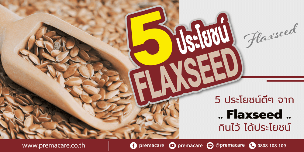 เมล็ดแฟลกซ์สรรพคุณและประโยชน์ดีๆ ต่อสุขภาพจาก Flaxseed