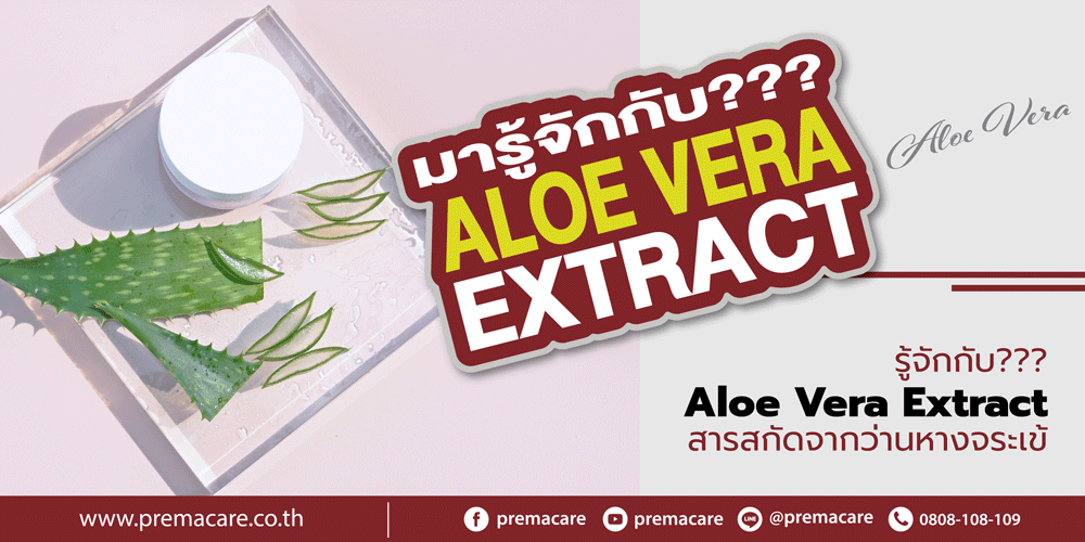 Aloe vera Extract สารสกัดจากว่านหางจระเข้