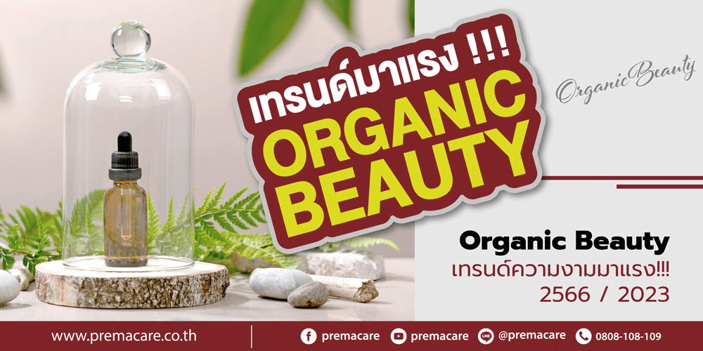 Organic Beauty