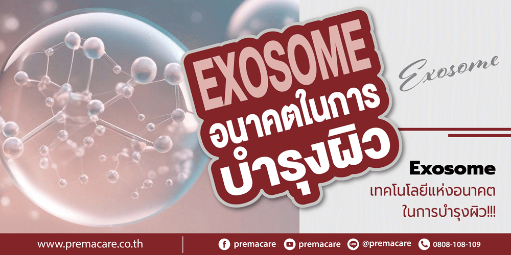 Exosome