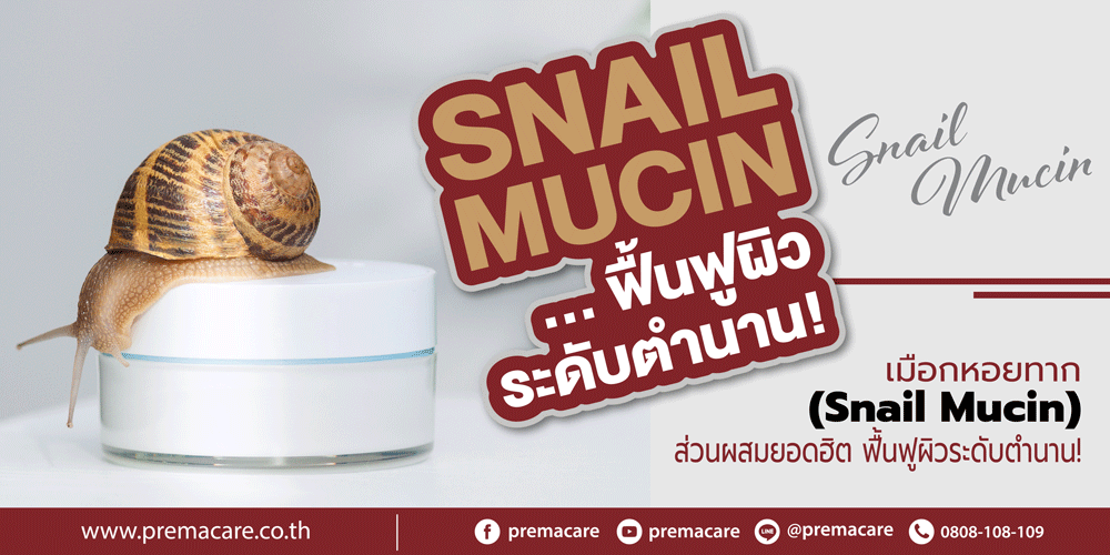 Snail Mucin, เมือกหอยทาก