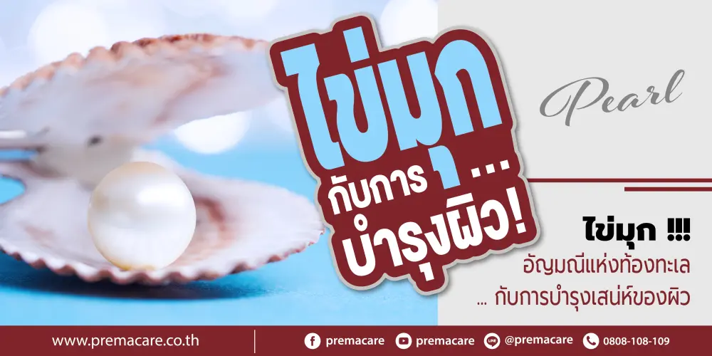 ผงไข่มุกสีขาวบริสุทธิ์กระจายอยู่บนพื้นผิวมันวาว ล้อมรอบด้วยเปลือกหอยมุกและเครื่องสำอางบำรุงผิวสุดหรู