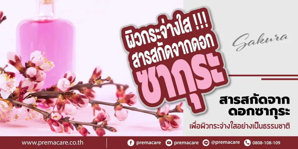 แผนภาพเปรียบเทียบเซลล์ผิวก่อนและหลังได้รับการปกป้องจากสารต้านอนุมูลอิสระในสารสกัดดอกซากุระ