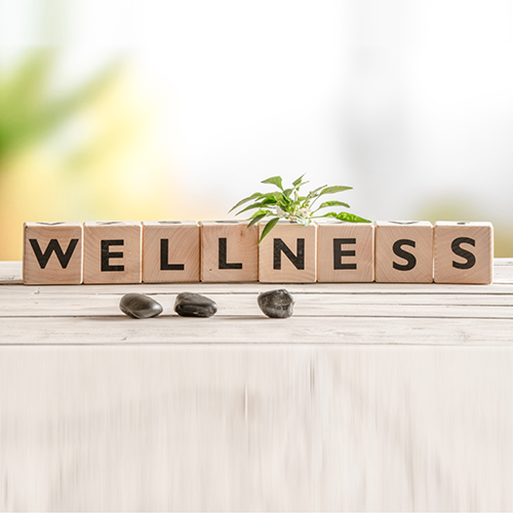 สูตรผลิตภัณฑ์เพื่อสุขภาพ - Wellness Being